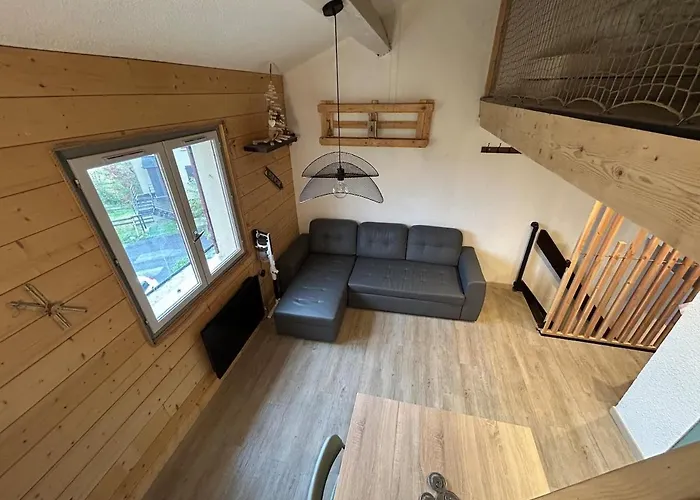 T2 Avec Mezzanine Apartment *